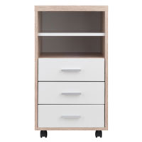 Winsome Wood 18532 Kenner Mobile Storage Cabinet, Drawers, Shelves