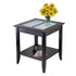Winsome Wood 92122 Syrah End Table with Frosted Glass